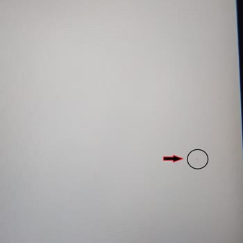 Ölü Piksel, Işık Sızması Ve Klavye Göçmesi İçin Garanti Değişimi Talebi