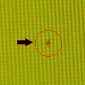 Ölü Piksel, Işık Sızması Ve Klavye Göçmesi İçin Garanti Değişimi Talebi