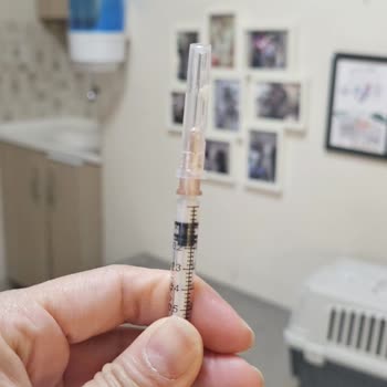 Bağdat Evcil Hayvan Mağazası Petshop & Pet Kuaför Hem Maddi Hem Manevi Zarar Verdi