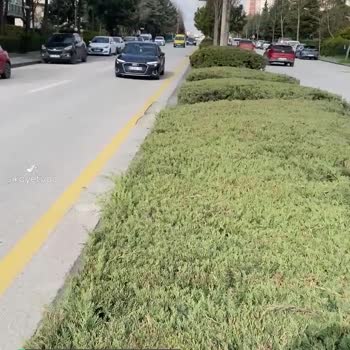 Ankara Büyükşehir Belediyesi 3 Yıldır Çözümlenmeyen Şikayetim!