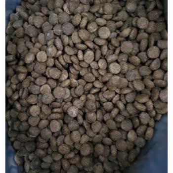 Küflü Mutamin Köpek Maması Üzerine Tekrarlanan Şikayet Ve Tam İade Talebi