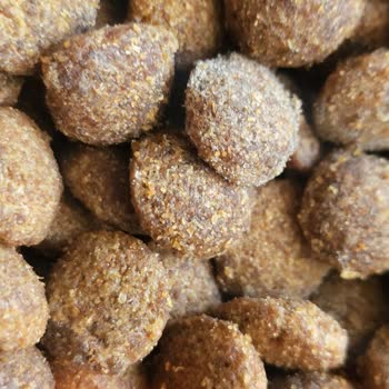 Küflü Mutamin Köpek Maması Üzerine Tekrarlanan Şikayet Ve Tam İade Talebi