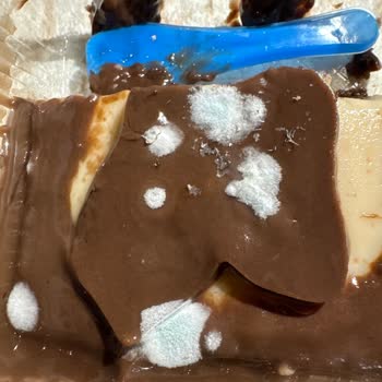 Şok Markette Satılan Şölen Tatlısı Süresi Geçmiş Ve Küflü Çıktı