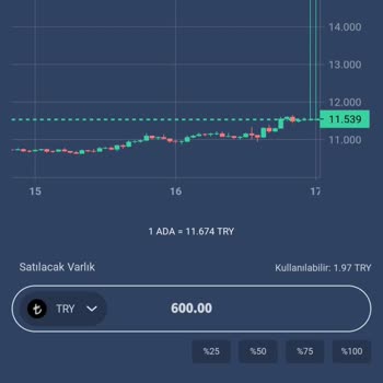 Bitexen Donması Nedeniyle 18 TL'de Satış Yapamama Ve Büyük Zarar