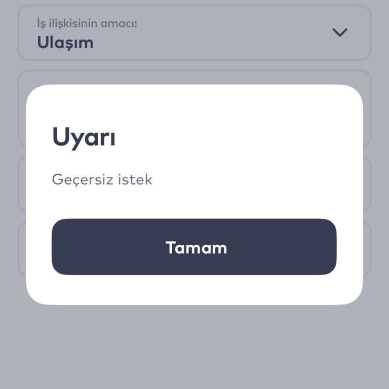 Geçersiz İstek Hatası Nedeniyle Hesap Doğrulama Ve Kart Başvurusu Engellendi