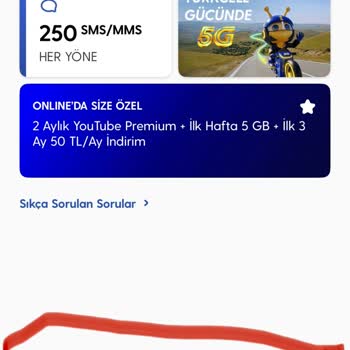 Uzun Süreli Müşterilerin Sadakatine Yönelik Fiyat Ayrımcılığı