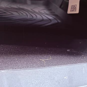 Marmara Park Carwax Şubesinde İç Temizlikte Kalitesiz İşçilik ve 850 TL Fazla Ücret