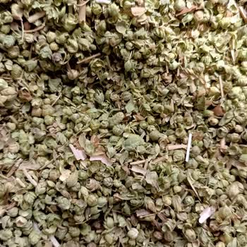 Kekik Paketi İçinde Yabancı Otlar Sünger Parçası Ve Kurtçuklar