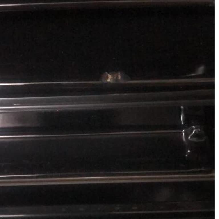 Arçelik Ankastre Fırınında Boya Atması Ve Ürün Değişimi Reddi