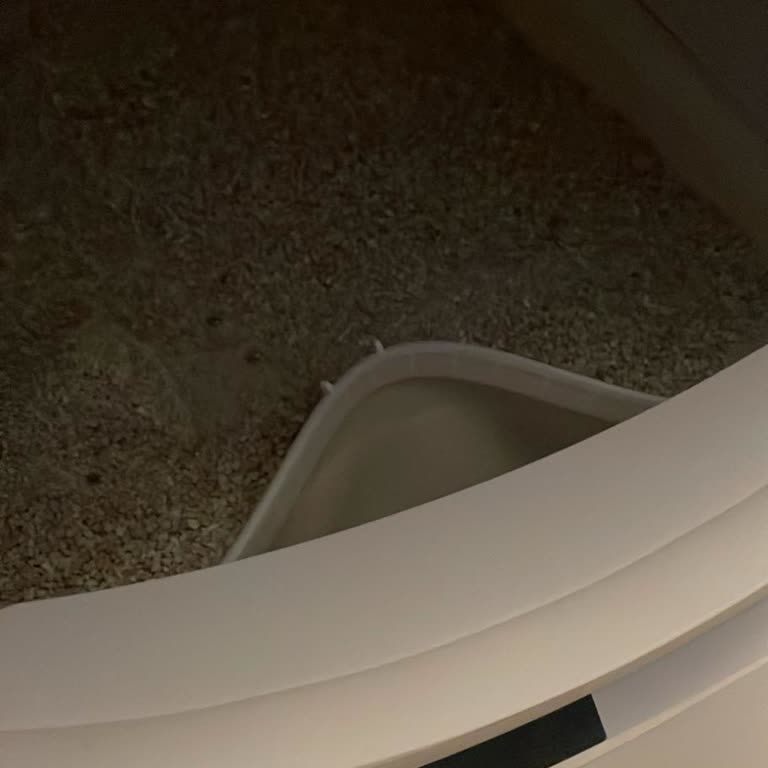 Ped Dayanıklılığı Sorunu Ve Cevapsız Müşteri Desteği