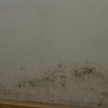 Poliçedeki İzolasyon Teminatı Kapsamında Ödeme Reddi