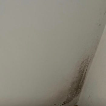 Poliçedeki İzolasyon Teminatı Kapsamında Ödeme Reddi