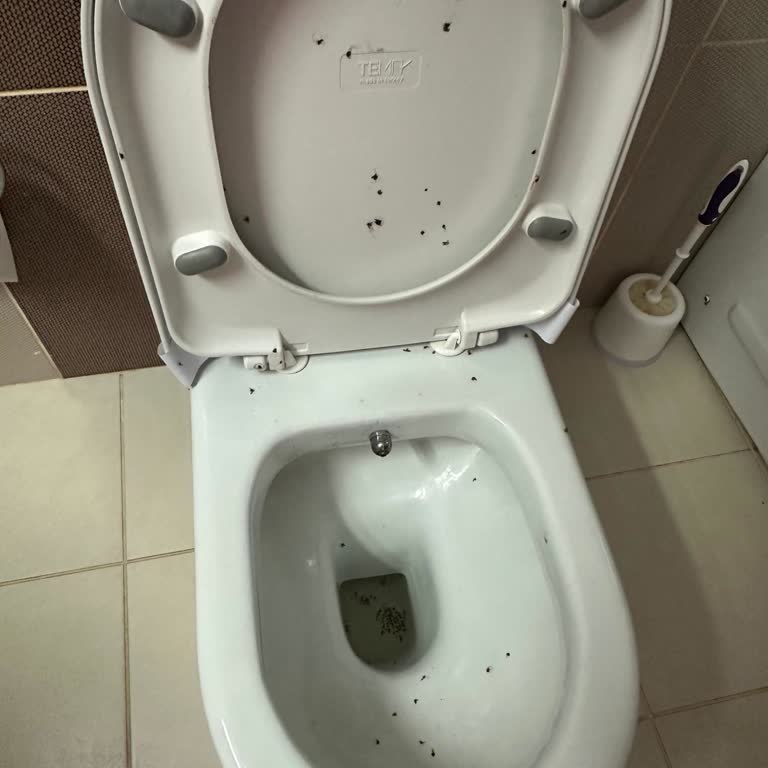 Uçak Bileti Yanması Ve Otelde Yer Bulunamaması Nedeniyle Yaşanan Mağduriyet