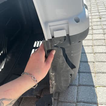 Pelagos Pet Ve Evcil Hayvan Ürünleri Skudo 7 Numaralı Box Şikayeti