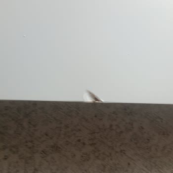 Sürat Kargo İletişimsiz Teslimatı Ve Eşyayı Merdiven Altına Fırlatması