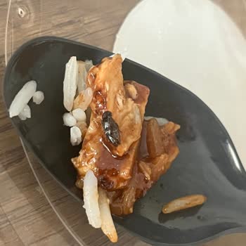 Yemekteki Böcek Ve Müşteri Hizmetlerine Ulaşılamaması