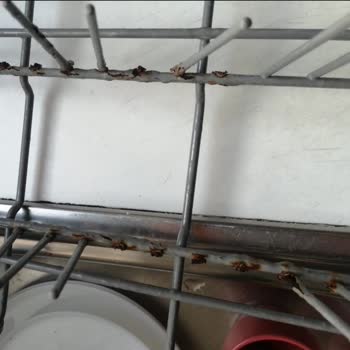 Teka Bulaşık Makinesinde Üst Sepetin Aşırı Paslanması Ve 12.500 TL Parça Ücreti