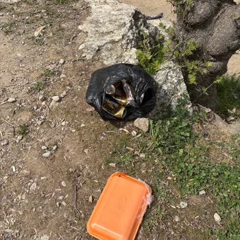 Çiftlikdere Köyü Ve Orman Girişindeki Çöp Birikimi Ve Belediyenin İhmali