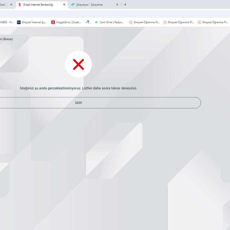 Ziraat Bankası Borsa Mobil Uygulama Erişim Hatası