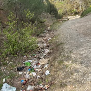 Çiftlikdere Orman Girişindeki Çöp Birikimi Ve Kamyonların İhmali