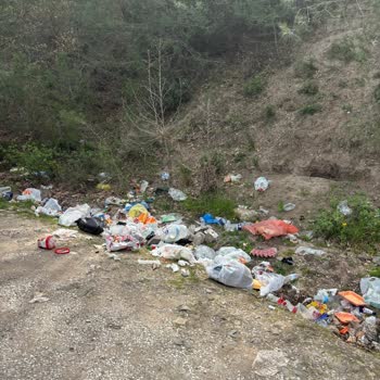Çiftlikdere Orman Girişindeki Çöp Birikimi Ve Kamyonların İhmali