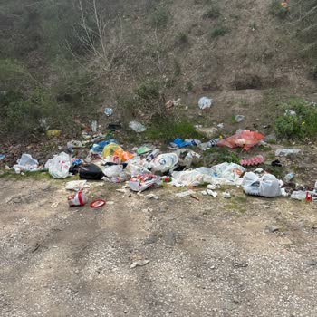 Çiftlikdere Orman Girişindeki Çöp Birikimi Ve Kamyonların İhmali