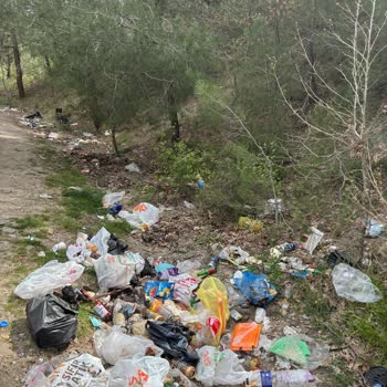 Çiftlikdere Orman Girişindeki Çöp Birikimi Ve Kamyonların İhmali