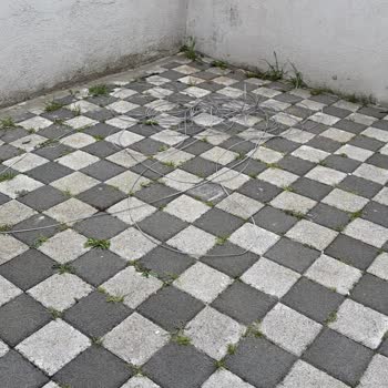 Türk Telekom’un Fiber Bağlantı Gecikmesi Ve Yanıltıcı Bilgileri Nedeniyle Yaşadığım Mağduriyet