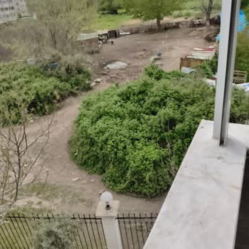 Edremit Belediyesi Hayvan Çiftliği Kokusu Evimizde Yaşamı Ve Değeri Tehdit Ediyor