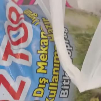 Öz Torf Bitki İçin Toprak Aldım Ve İçinden Çıkanlar!