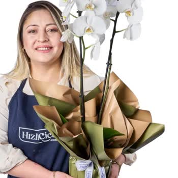 İlan Görseline Uymayan Orkide Gönderildi Ve Değişim Reddedildi