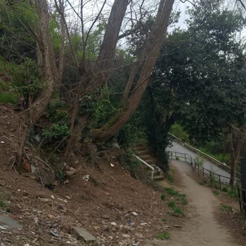Uçurum Kenarındaki Patika Yolunda Güvenlik Riski Ve Yangın Tehlikesi İçin Acil Çözüm Talebi