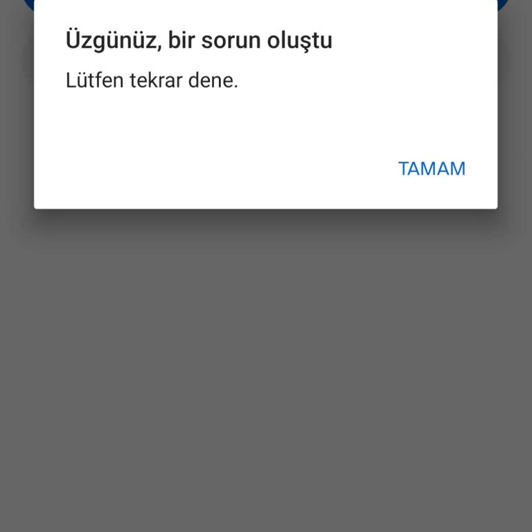 Instagram Hesabımda Giriş Kodu Hatası Ve Erişim Engeli
