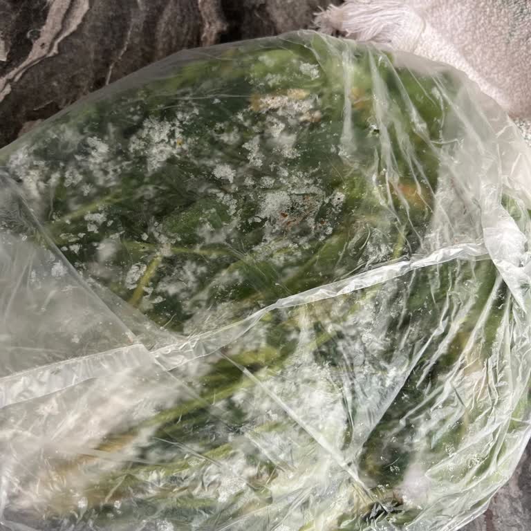 Garantili Profilo Buzdolabı Sebzeleri Donduruyor, Ayıplı Ürün İddiaları