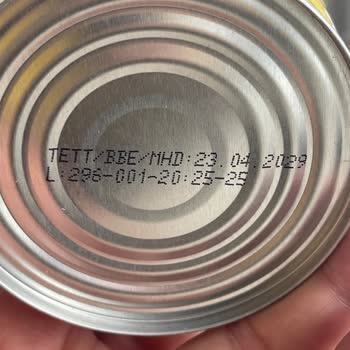 Tukaş Konserve Mısırda Böcek Kontaminasyonu Gıda Güvenliği Tehlikede