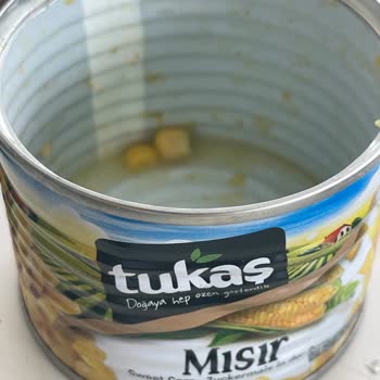 Tukaş Konserve Mısırda Böcek Kontaminasyonu Gıda Güvenliği Tehlikede