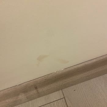 Enza Home Taşıma Ekibi Duvarlarımda Çizik Ve Sıva Dökülmesi Yarattı