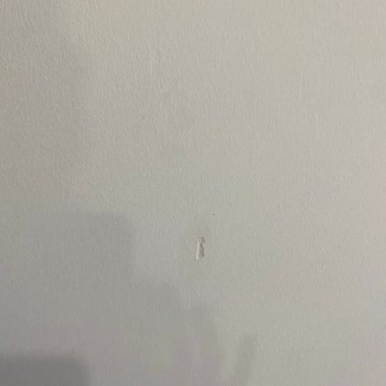 Enza Home Taşıma Ekibi Duvarlarımda Çizik Ve Sıva Dökülmesi Yarattı