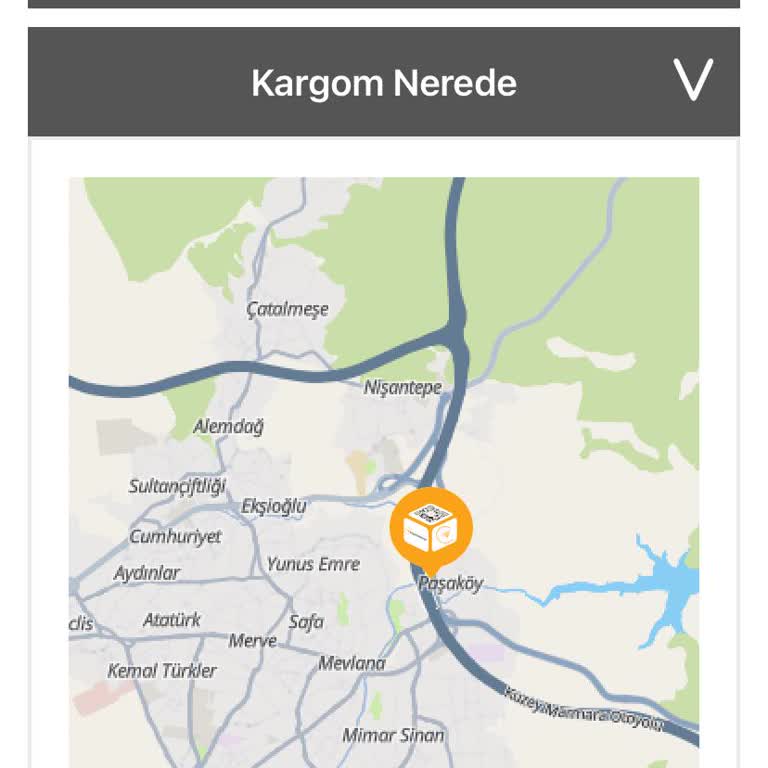 Kuryenin Şehir Diğer Yakasında Sabit Kaldığı Ve Teslimat Denemesi Gerçekleşmediği Yanıltıcı Kayıt