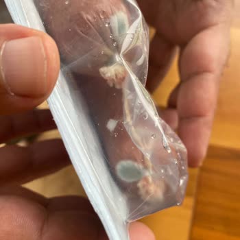 Küflü Sucuk Teslim Edildi: Kontrol Eksikliği Ve Halk Sağlığı Tehlikesi