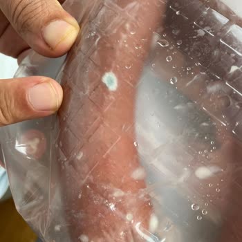 Küflü Sucuk Teslim Edildi: Kontrol Eksikliği Ve Halk Sağlığı Tehlikesi