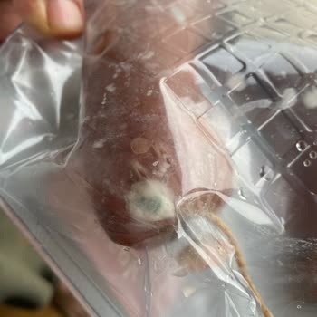 Küflü Sucuk Teslim Edildi: Kontrol Eksikliği Ve Halk Sağlığı Tehlikesi