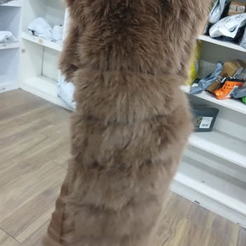 Hepsijet Tek Paket Açıldı Ve Ürünler Eksik Teslim Edildi