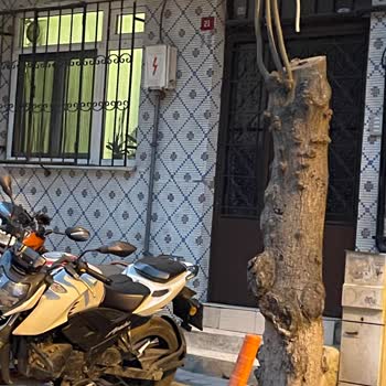 Kağıthane Atak Sokak'ta Camdan Sözlü Tehdit Ve Park Engeli Zabıta Müdahalesi Talebi