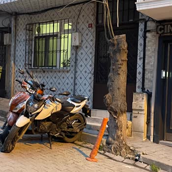 Kağıthane Atak Sokak'ta Camdan Sözlü Tehdit Ve Park Engeli Zabıta Müdahalesi Talebi