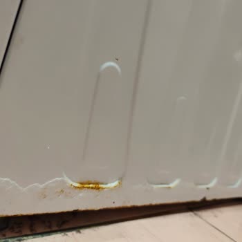 Garanti Altındaki Vestel Çamaşır Makinesinde Tekrarlayan Paslanma Ve Su Sızıntısı