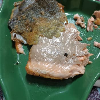 Alabalık Fileto Yerine Kılçıklı Somon Çıktı: Sağlık Riski Ve Ücret İadesi Talebi