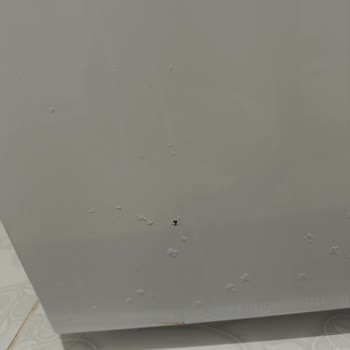 Regal Buzdolabımda Boya Dökülmesi Ve Tam Yeniden Değişim Talebi