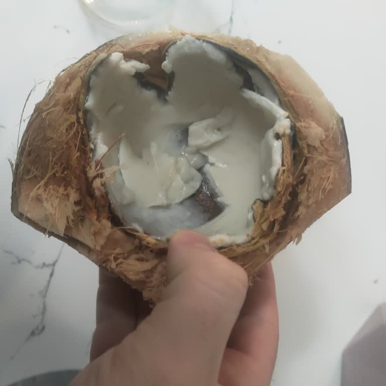 Çelikkayalar Şubesinde Bozuk Hindistan Cevizi Satışı