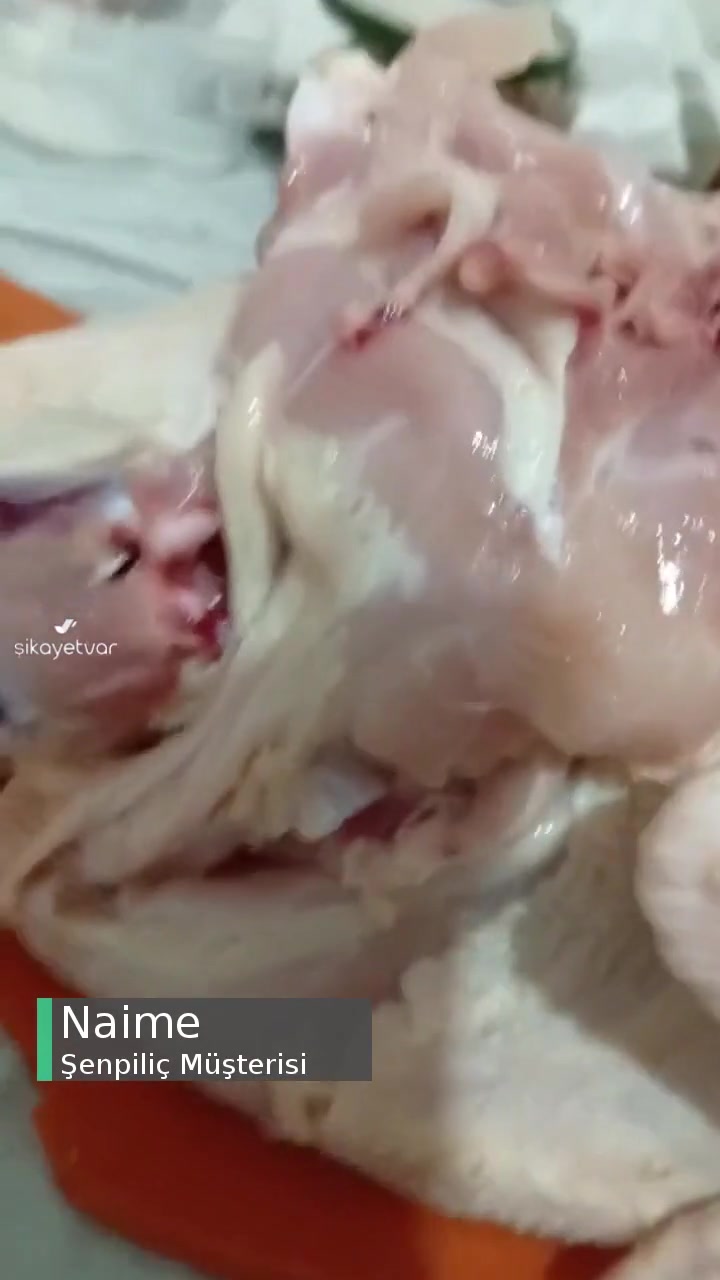 Şenpiliç Çok Kötü Kokuyor! videonun kapak resmi